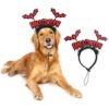 Halloween Costume for Medium and Large Dogs with Bat Wings Headband