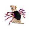 Halloween Party Decor Puppy Pet Outfits with Adorable Spider Costume