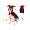 Halloween Pet Witch Cape Costume for Small Medium Large Breeds