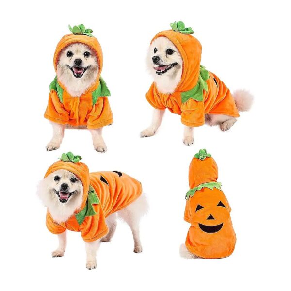 Halloween Pumpkin Costume for Cats, Chihuahua, Mini Doberman, and Yorkshine Terrier