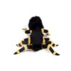 Halloween Spider Costume for Pets, Various Sizes Available, Cat and Dog Apparel