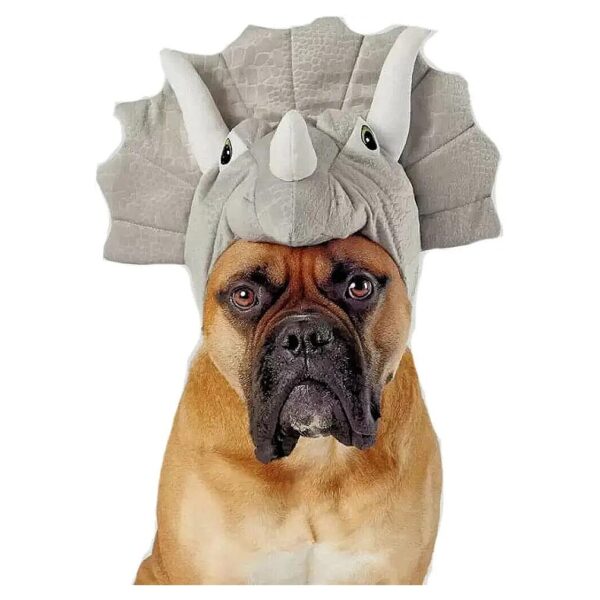 Halloween Triceratops Dog and Cat Costume for Medium to Large Grey Pets