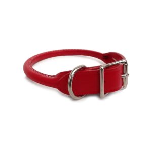 Handcrafted Rolled Leather Dog Collar in Red - 1 inch x 24 inches - USA Made