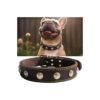 Handmade Leather Dog Collar for Medium Dogs with Gold Rivets Luxury Style