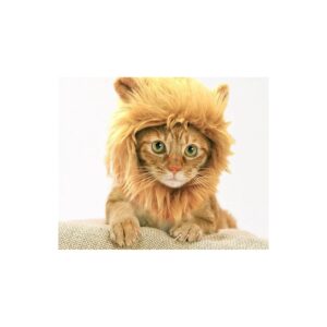 Handmade Lion King Pet Costume for Cats and Small Dogs with Velcro Closure