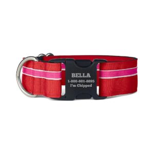 Handmade in USA, Custom Size Adjustable Striped Dog Collar with Easy Buckle Closure