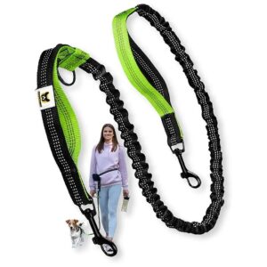 Hands Free Dog Leash Extension for Two Small Dogs with Extra Safety Leash