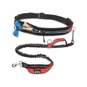 Hands-Free Dog Leash with Two Pouches for Storing Essentials and Treats