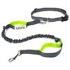 Hands-Free Leash for Dog Walking with Reflective Stitching and High-Quality Nylon