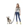 Hands-Free Leash for Small Medium & Large Dogs Walking Jogging Running