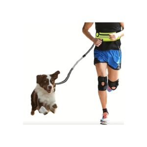 Hands Free Waist Dog Leash with Zipper Pouch for Training and Walking