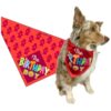 Happy Birthday Dog Bandana for Medium to Large Dogs Polyester Scarf