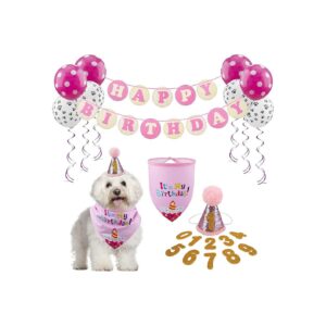 Happy Birthday Dog Party Decorations Set with Bandana Hat Scarf and Pink Balloon Swirls