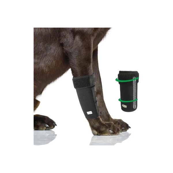 Heal and Prevent Injuries with High-Quality Dog Front Leg Wrap