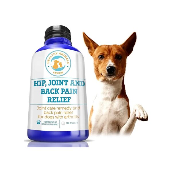 Healthy Animals Arthritis Remedy for Dogs with Joint Pain and Energy