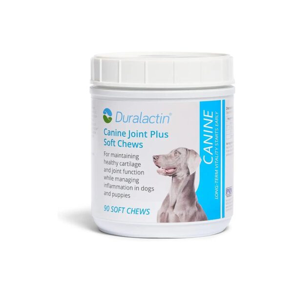 Healthy Cartilage and Joint Function Supplement for Dogs & Puppies with Soft Chews