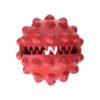 Healthy Chewing Option for Small Pets with Rubber Treat Ball