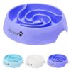 Healthy Digestion Dog Food Bowls with Slow Feeding Maze for Large Dogs