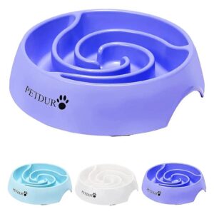 Healthy Digestion Dog Food Bowls with Slow Feeding Maze for Large Dogs