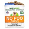 Healthy Digestion and Breath Aid for Dogs with No Poo Treats