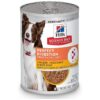 Healthy Digestion for Adult Dogs, Wet Food with Chicken, Vegetable, Rice Stew