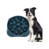 Healthy Eating Dog Slow Feeder Bowl with Non-Slip Bottom for Large and Medium Dogs