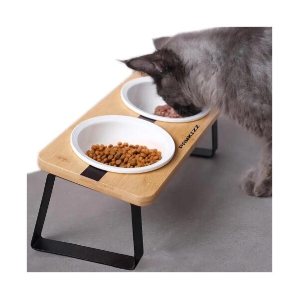 Healthy Eating for Cats and Puppies with Whisker Friendly Ceramic Bowls Stand