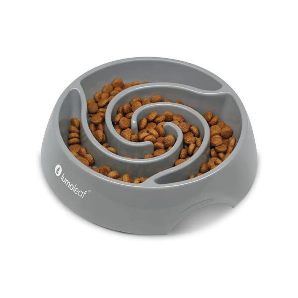 Healthy Eating for Dogs with LumoLeaf Slow Feeder Dog Bowls