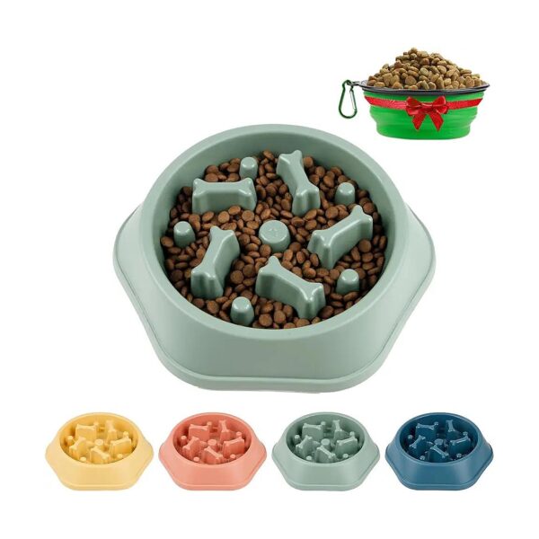 Healthy Feeding Solution for Small to Medium Dogs with Green Bone Slow Feeding Dog Bowl