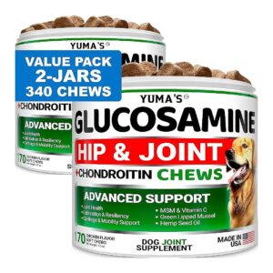 Healthy Hips and Joints for Dogs with Glucosamine and Chondroitin Chews