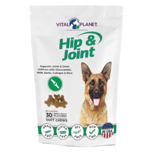 Healthy Joint Support Soft Chews for Dogs with Natural Ingredients