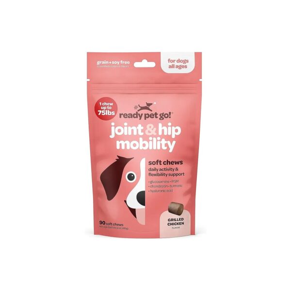 Healthy Pet Chews with Glucosamine Chondroitin MSM Turmeric for Dogs Flexibility