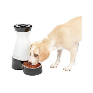 Healthy Pet Food Station with 4 Pound Kibble Capacity and Removable Stainless Steel Bowl