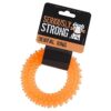 Healthy Teeth Dental Ring Dog Toy for Strong and Confident Canines