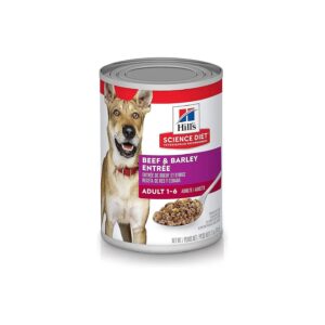 Healthy Wet Food for Adult Dogs 1-6 Years Old with Omega-6 and Vitamin E