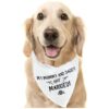 Heartfelt Wedding Gift for Dog Lovers Small Medium Large Dog Triangle Bibs Scarf