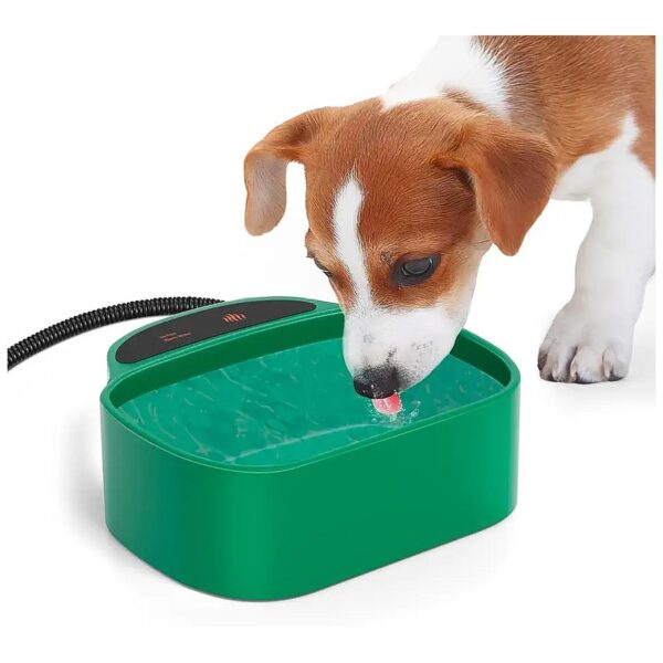 Heated Outdoor Water Bowl for Dog Cat Chicken 85 Ounce Green Plastic