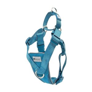 Heather Teal No Pull Dog Harness with Back Martingale Loop and Side Buckles