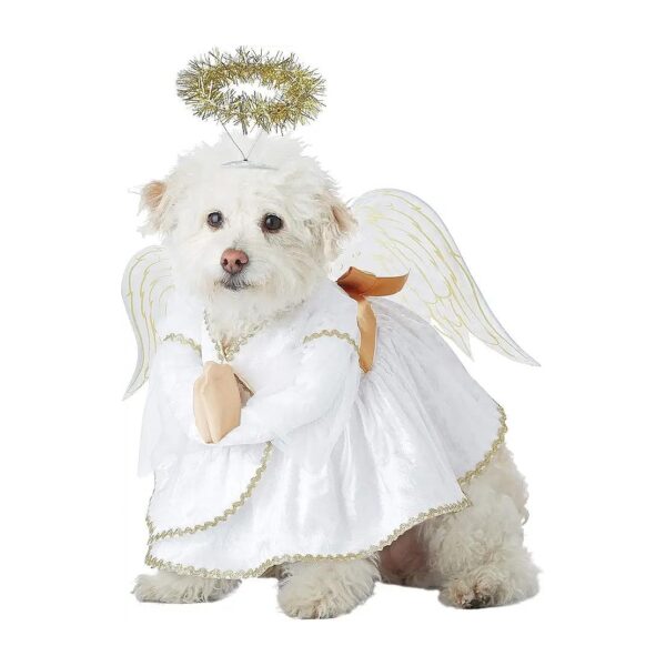 Heavenly Hound Pet Costume in White and Gold for Small Breeds X Small