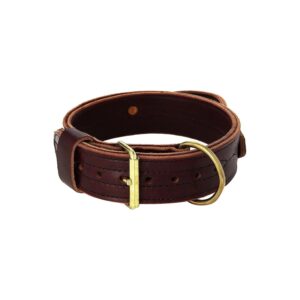 Heavy Agitation Collar with Handle, 2-Inch, Burgundy, Made by Expert American Craftsmen