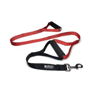 Heavy Duty 5 Foot Classic Red Dog Leash with Double Handle for Large Dogs