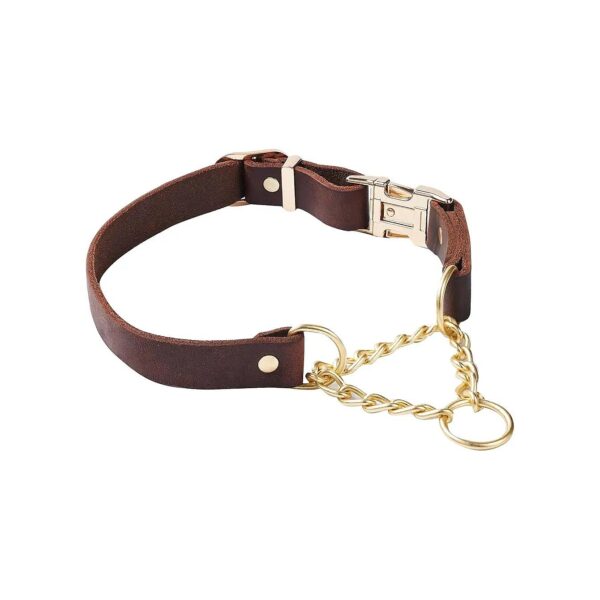 Heavy Duty Adjustable Leather Martingale Collar with Rustproof Brass Chain for Large Dogs