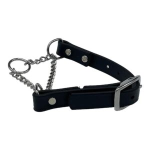 Heavy Duty Black Biothane Martingale Collar with Stainless Steel Buckle for Large Dogs