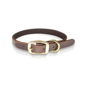 Heavy Duty Brass Hardware and Full Grain Leather Dog Collar for Small to Large Dogs