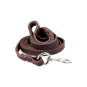 Heavy Duty Brown Leather Dog Leash for Large Breed Dogs