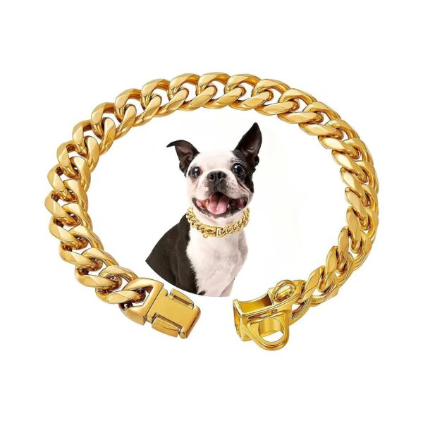 Heavy Duty Chew Proof Stainless Steel Dog Collar with Gold Plated Chain and Buckle Lock