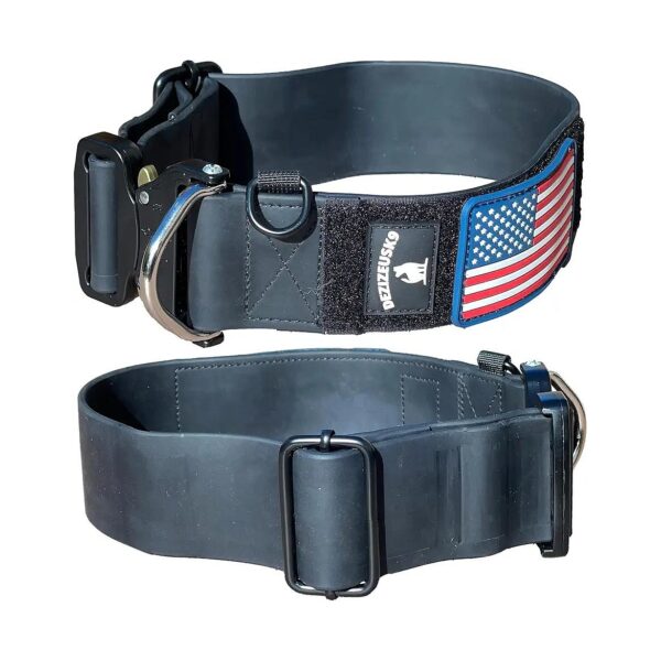 Heavy Duty Dog Collar for Large Breed Dogs with 2 Inch Wide Nylon Webbing