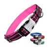 Heavy Duty Dog Collar for Medium Large Breeds with Reflective Stripes