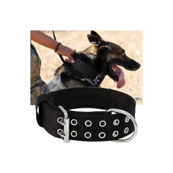 Heavy Duty Dog Collar for Pitbull Doberman Rottweiler 22" -27