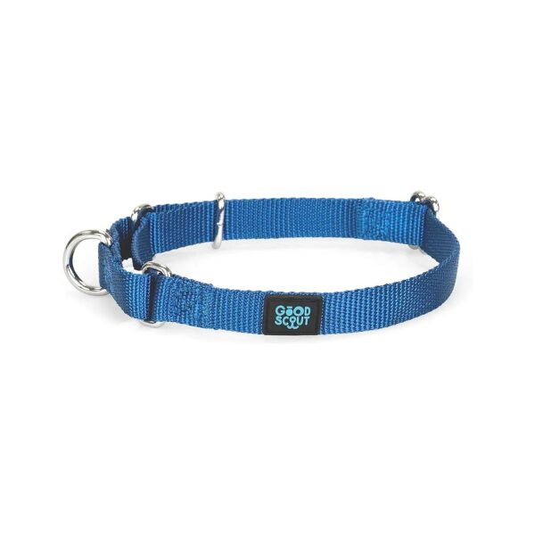 Heavy Duty Dog Collar for Small Dogs, Puppies, and Adult Dogs, Martingale Style, Blue